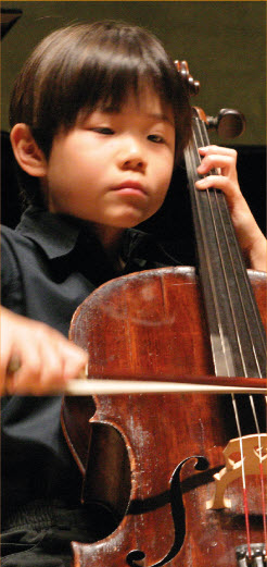 violin